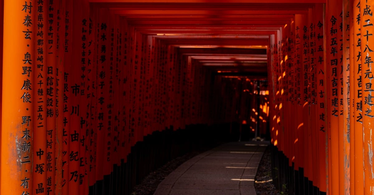 Математический анализ слот-игры Gates of Olympus для образовательных целей